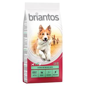 14 kg Briantos droogvoer + Dental Snack Mini gratis! - Adult Lam & Rijst + Dental Snack Mini