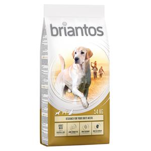 Briantos 2 kg gratis! Bij 14 / 12 kg  Droogvoer - Adult Maxi Kip & Rijst (14 kg)