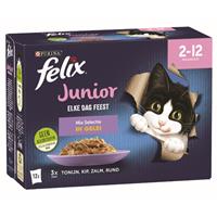 Pch edf jr mix gel 12p 85g - Felix