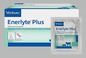 Virbac Enerlyte Plus