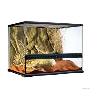 Exo Terra Glas Terrarium | 60 x 45 x 45CM Met achterwand