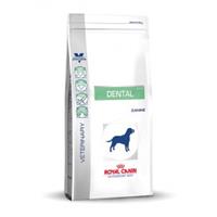 Royal Canin Veterinary Diet Royal Canin Dental Large Hundefutter - DLK 22 13 kg