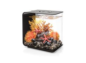 BiOrb Flow - 15l Aquarium - Zwart