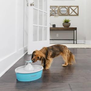 PetSafe Vlinder Drinkfontein 1,5ltr