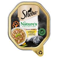 Sheba Nature´s Collection in Saus 22 x 85 g Kattenvoer - met Kip