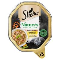 22x85g Zalm in Saus Nature's Collection Sheba Kattenvoer