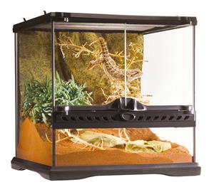 Exo Terra Glas Terrarium | 30 x 30 x 30CM Met achterwand