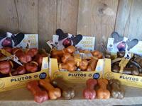 PLUTOS Kaas & Rundvlees, S