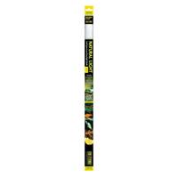 Natural Light T8 18 Watt