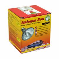 Halogen Sun 100 Watt