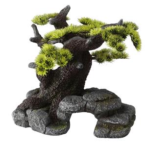 Aqua D'ella Bonsai boom op rots ML