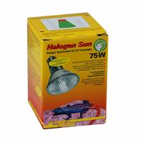Lucky Reptile Halogen Sun - 75W