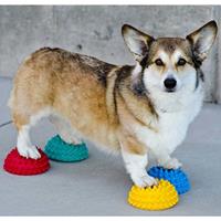 FITPAWS Balance-Kugeln für Pfoten 4 Stk.