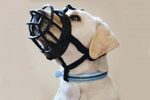 Beeztees Muilkorf - Hond - TPR - Zwart