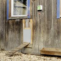 Kerbl Automatische deur kippenhok