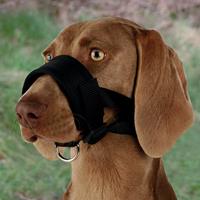 Trixie Muzzle Loop Veiligheidsmuilband Nylon Zwart - XXL