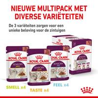 Royal Canin 36 + 12 gratis! 48 x 85 g  Kattenvoer - Mix Sensory in Gravy