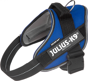 Julius-K9 IDC Powair Blauw