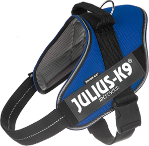 Julius-K9 IDC POWAIR harness Size: XL blue