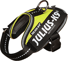 Julius-K9 IDC Powair Neon
