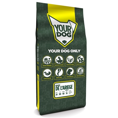 Yourdog braque de l'ariege senior