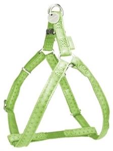 Zolux Tuig 35-60x1,5cm Groen