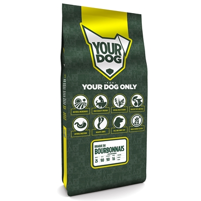 Yourdog braque du bourbonnais volwassen