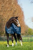 Horseware Liner 200g - Navy