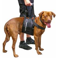 Schecker Beppo Hunde-Gehhilfe 'One-Size'