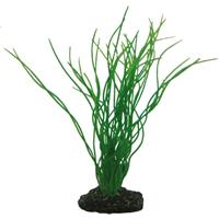 Hobby Plant Sagittaria