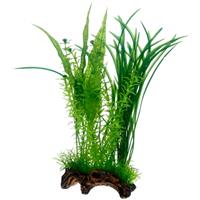 Dohse Flora Wortel 1 L 30 cm