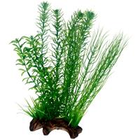 Dohse Flora Wortel 2 L 30 cm