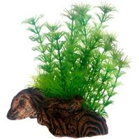 Dohse Flora Root 3 s 17 cm