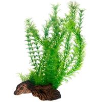 Dohse Flora Root 3 L 30 cm