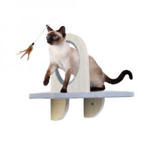 All For Paws Skywalk - Groom & Play Platform