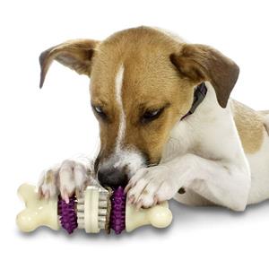 Petsafe Premier Busy Buddy Bristle Bone