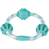 Trixie Denta Fun Koordring met Ballen ø 20 cm/ ø 5 cm