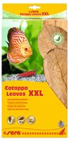 Sera Catappa Leaves XXL 30 - 35 cm