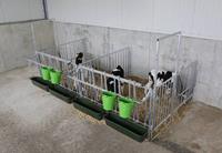 Modulaire omheining, enkele set voor groep van 3 kalveren