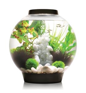 BiOrb Classic 30 LED zwart