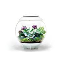 BiOrb Air 60 wit