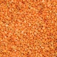 lalashops Aquarium Steentjes 1KG 4-6mm - Gekleurd Granulaat - ORANJE - Bodembedekking Grind met Oranje Kleur voor in Vissen Aquarium