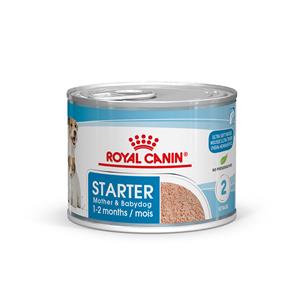 Royal Canin Size Royal Canin Starter Mousse Mother & Babydog Hondenvoer - 12 x 195 g