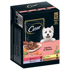 Cesar 12x 100g  Selektion Fleisch und Gemüse in Sauce Hundefutter nass