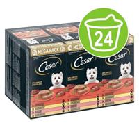 Cesar Cuisine in saus multipack natvoer hond alukuipjes (150 g) 1 verpakking (24 x 150 g)