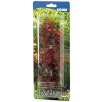 HOBBY Ludwigia, 25 cm - 