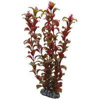 Hobby Plant Rotala 30CM