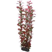 HOBBY Ludwigia, 34 cm - 