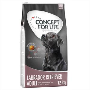 2 x 12 kg / 2 x 4 kg Concept for Life voor een speciale prijs! - Labrador Retriever Adult (2 x 12 kg)