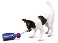 Petsafe Busy Buddy Fles Met Touw Small